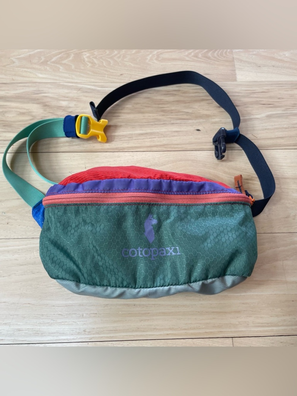 Cotopaxi Del Dia Fanny Pack